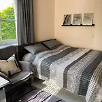 Ferienzimmer-Rotkehlchen